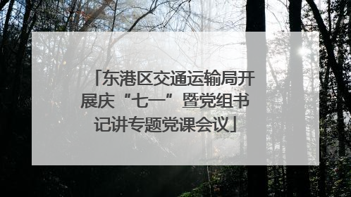 东港区交通运输局开展庆“七一”暨党组书记讲专题党课会议