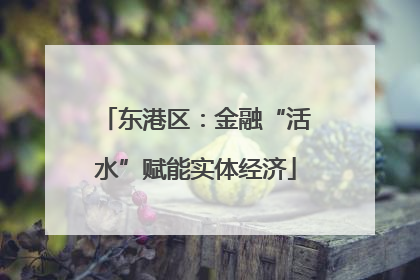 东港区：金融“活水”赋能实体经济
