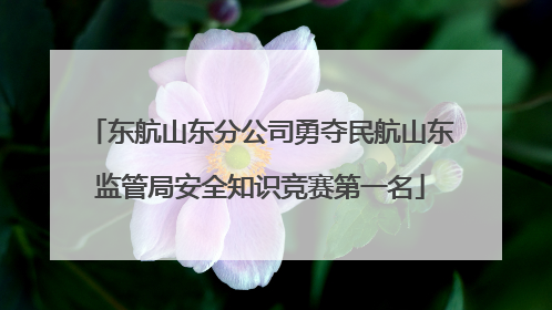 东航山东分公司勇夺民航山东监管局安全知识竞赛第一名