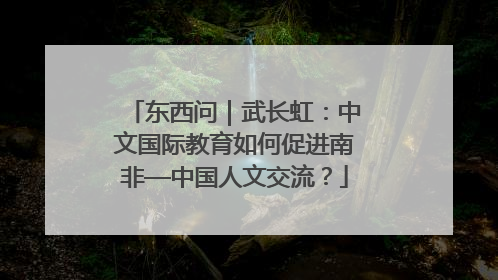 东西问｜武长虹：中文国际教育如何促进南非—中国人文交流？