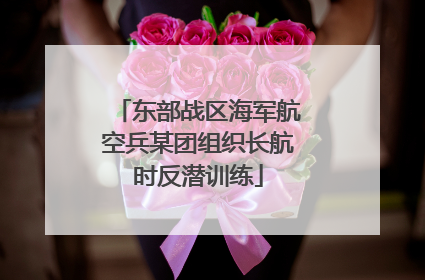 东部战区海军航空兵某团组织长航时反潜训练