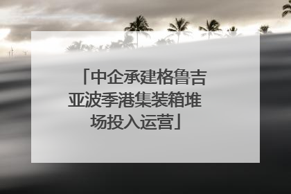中企承建格鲁吉亚波季港集装箱堆场投入运营