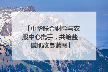 中华联合财险与农服中心携手，共绘盐碱地改良蓝图
