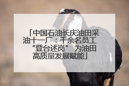 中国石油长庆油田采油十一厂：千余名员工“登台述岗” 为油田高质量发展赋能