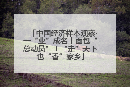 中国经济样本观察·一“业”成名丨面包“总动员”！“走”天下也“香”家乡