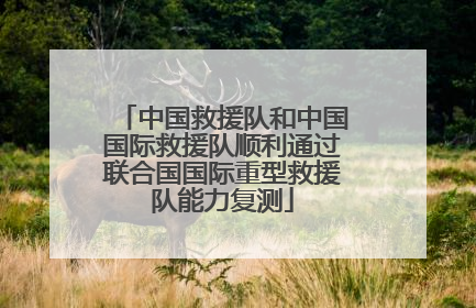 中国救援队和中国国际救援队顺利通过联合国国际重型救援队能力复测