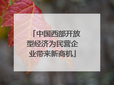 中国西部开放型经济为民营企业带来新商机