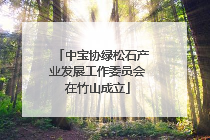 中宝协绿松石产业发展工作委员会在竹山成立