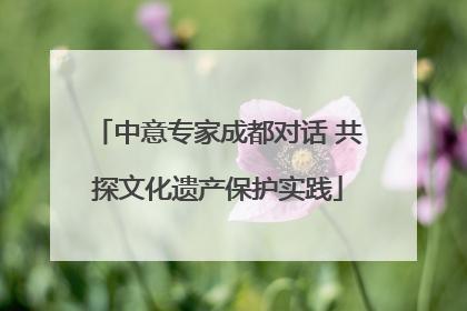 中意专家成都对话 共探文化遗产保护实践