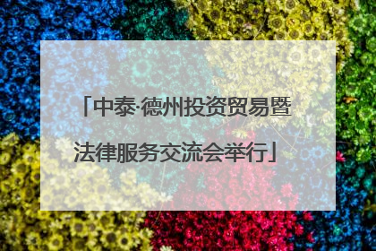 中泰·德州投资贸易暨法律服务交流会举行