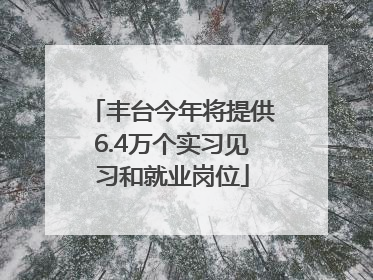 丰台今年将提供6.4万个实习见习和就业岗位
