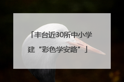 丰台近30所中小学建“彩色学安路”