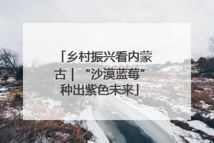 乡村振兴看内蒙古｜“沙漠蓝莓”种出紫色未来