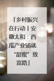 乡村振兴在行动丨安徽太和：西瓜产业铺就“甜蜜”致富路