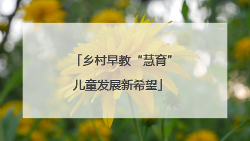 乡村早教“慧育”儿童发展新希望