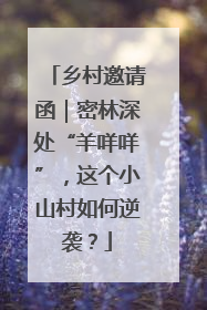 乡村邀请函｜密林深处“羊咩咩”，这个小山村如何逆袭？