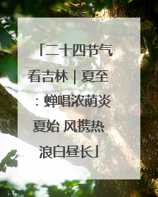 二十四节气看吉林｜夏至：蝉唱浓荫炎夏始 风携热浪白昼长