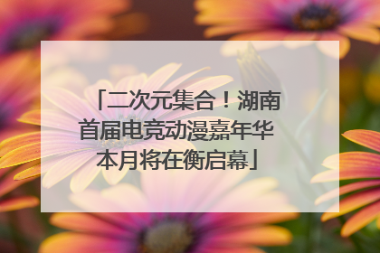 二次元集合！湖南首届电竞动漫嘉年华本月将在衡启幕