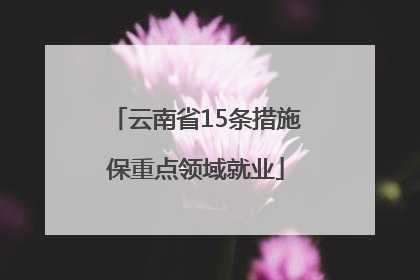 云南省15条措施保重点领域就业