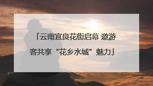 云南宜良花街启幕 邀游客共享“花乡水城”魅力