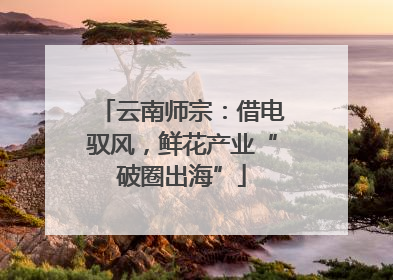 云南师宗：借电驭风，鲜花产业“破圈出海”