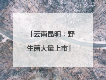 云南昆明：野生菌大量上市