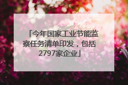 今年国家工业节能监察任务清单印发，包括2797家企业