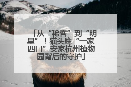 从“稀客”到“明星”！猫头鹰“一家四口”安家杭州植物园背后的守护