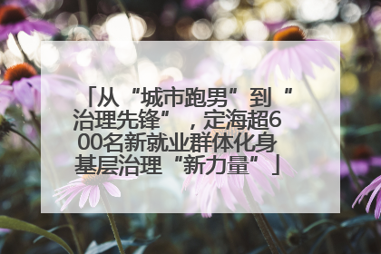 从“城市跑男”到“治理先锋”，定海超600名新就业群体化身基层治理“新力量”