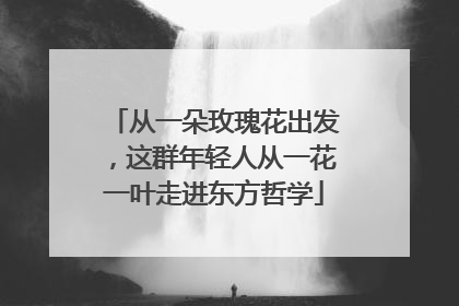 从一朵玫瑰花出发，这群年轻人从一花一叶走进东方哲学