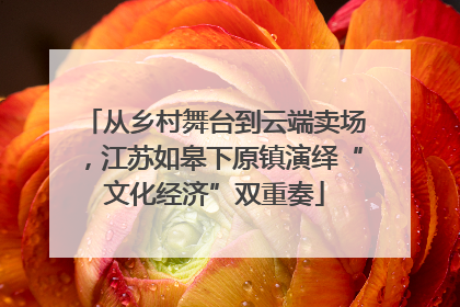从乡村舞台到云端卖场，江苏如皋下原镇演绎“文化经济”双重奏