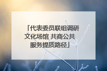 代表委员联组调研文化场馆 共商公共服务提质路径