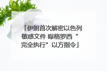 伊朗首次解密以色列敏感文件 曝格罗西“完全执行”以方指令