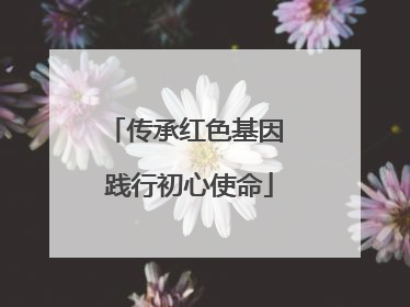 传承红色基因 践行初心使命