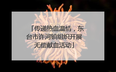传递热血温情，东台市许河镇组织开展无偿献血活动