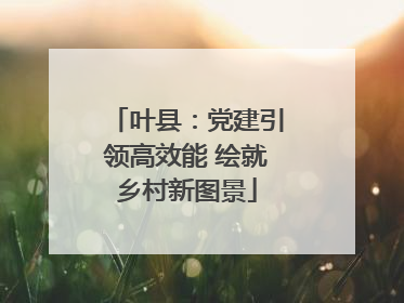 叶县：党建引领高效能 绘就乡村新图景