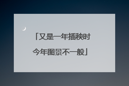 又是一年插秧时 今年图景不一般