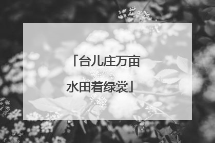 台儿庄万亩水田着绿裳