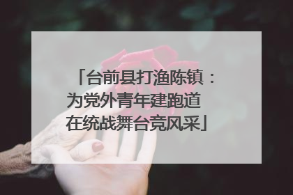 台前县打渔陈镇：为党外青年建跑道 在统战舞台竞风采