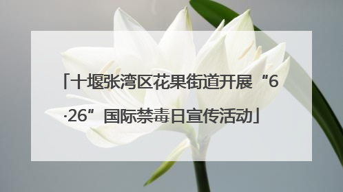 十堰张湾区花果街道开展“6·26”国际禁毒日宣传活动