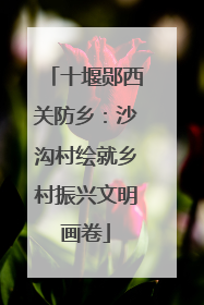 十堰郧西关防乡：沙沟村绘就乡村振兴文明画卷