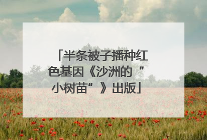 半条被子播种红色基因《沙洲的“小树苗”》出版