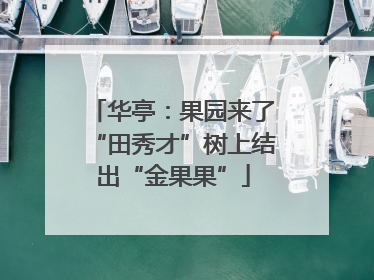 华亭：果园来了“田秀才”树上结出“金果果”