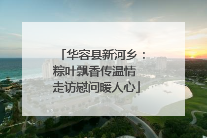华容县新河乡：粽叶飘香传温情 走访慰问暖人心