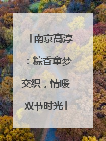 南京高淳：粽香童梦交织，情暖双节时光