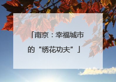 南京：幸福城市的“绣花功夫”