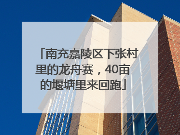 南充嘉陵区下张村里的龙舟赛，40亩的堰塘里来回跑