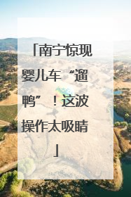 南宁惊现婴儿车“遛鸭”！这波操作太吸睛