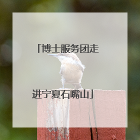 博士服务团走进宁夏石嘴山