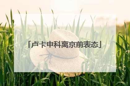 卢卡申科离京前表态
